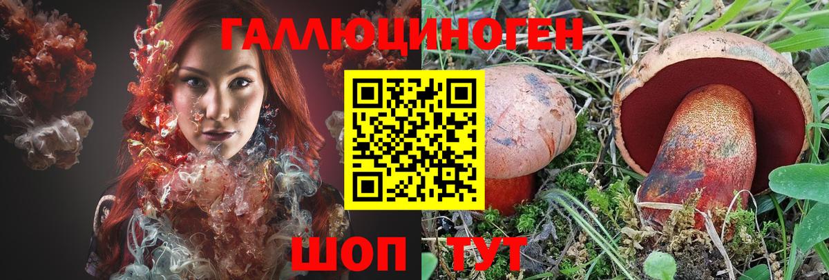 Псилоцибиновые грибы Psilocybine cubensis Краснокаменск